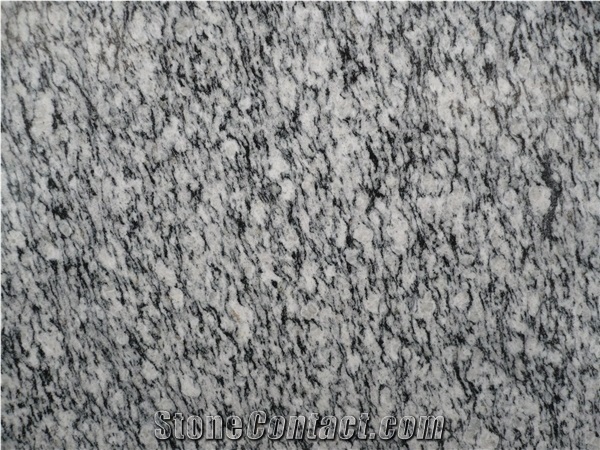 Serizzo Granite Block, Italy Grey Granite Serizzo Formazza
