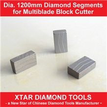 Dia.1200mm Diamond Segment for Granite Block Cutting or Sawing