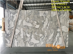 China Venato White Polished Marble Tiles & Slabs/Chinese Arabescato/Grey/Floor Covering/Wall/Italy Bianco Pattern/Decoration for Project