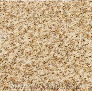 Golden Yellow Granite