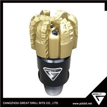 7-1/2" Gs1606t Pdc Bit with Steel Body