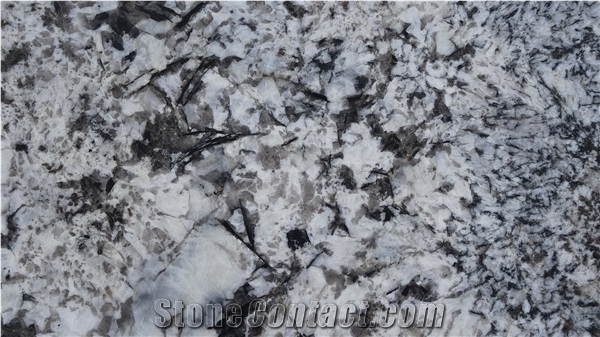 Alaska White Granite Slabs & Tiles, India White Granite