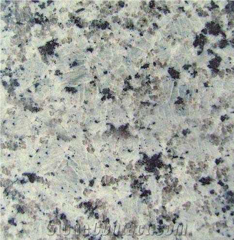 Yulan White, Granite Floor Covering, Granite Tiles & Slabs, Granite Flooring, Granite Floor Tiles, Granite Skirting, China White Granite
