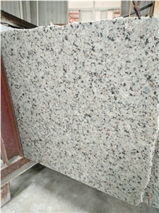 China Bala Flower White Granite Honed Tile,Bianco Sardo,Ocean White Bala White Flower Granite Tiles,Floor Covering Tiles/Interior Walling