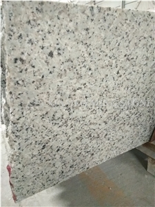China Bala Flower White Granite Tile(Own Factory),Bianco Sardo,Ocean White Bala White Flower Granite,Tiles,Floor Covering Tiles/Walling