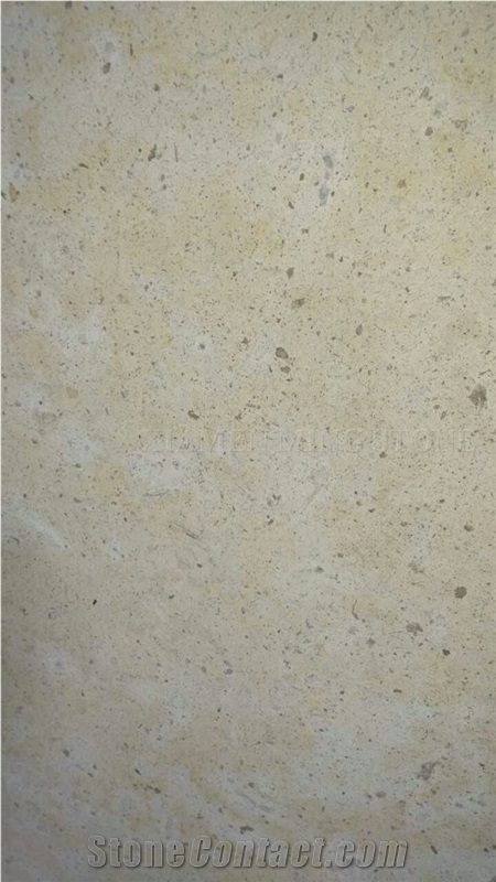 China Beige Limestone Coral Stone Tiles Panel Villa Exterior Wall Cladding,Cream Limestone Slabs Cutting Walling Panel Pattern