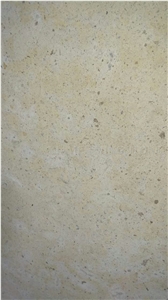 China Beige Limestone Coral Stone Tiles Panel Villa Exterior Wall Cladding,Cream Seashell Stone Slabs Cutting Walling Pattern