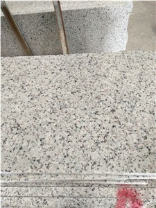 Polished China Bala Flower White Granite Tile,Bianco Sardo,Ocean White Bala White Flower Granite Tiles,Floor Stepping Tiles/Walling Panel