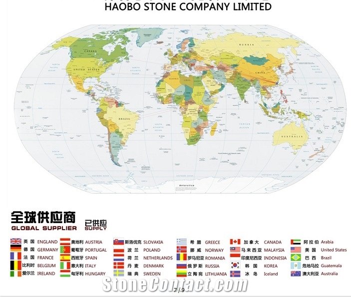 Good Service Natural Haobo China Cheap Price High Quality Polished Different Types Silver Exotic Granite Tile for Hotel Flooring and Wall Decoration