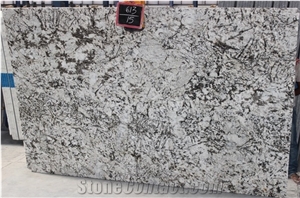 India Alaska White Granite Slabs