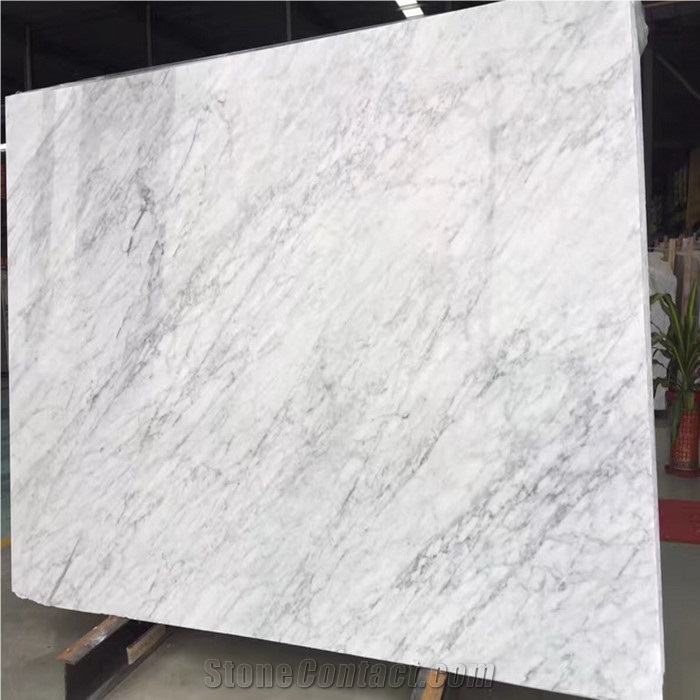 Polished White Carrara 2cm Big Slabs Italian Bianco Carrara Cd