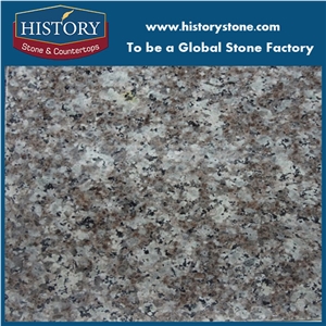 2017 Popular G664 Nature Granite Countertops,Cheap Price in Stock Bainbrook Brown Bathroom Tops and Vanity Tops for Hotel and Resident Project
