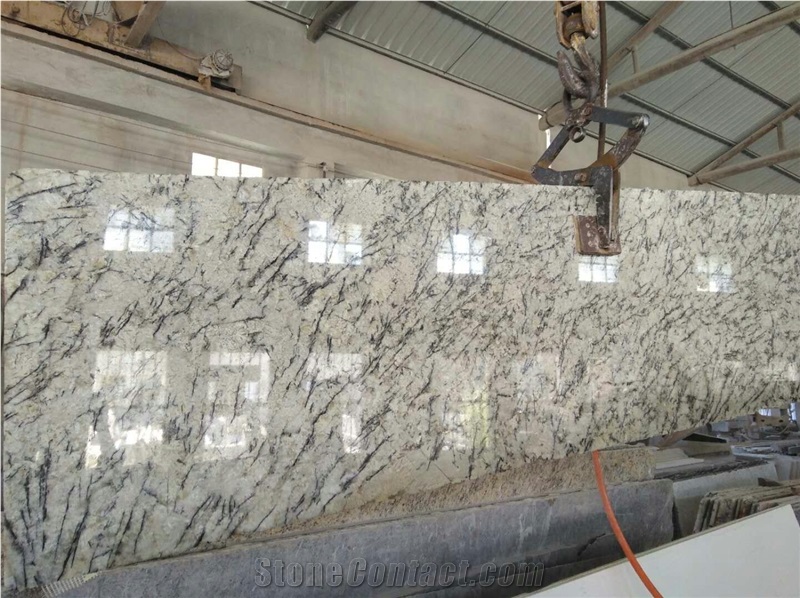 Hot Sale Products White Orion Granite Slabs/Brazil White Transparent Granite/Brazil White Orion for Counter&Vanity Tops