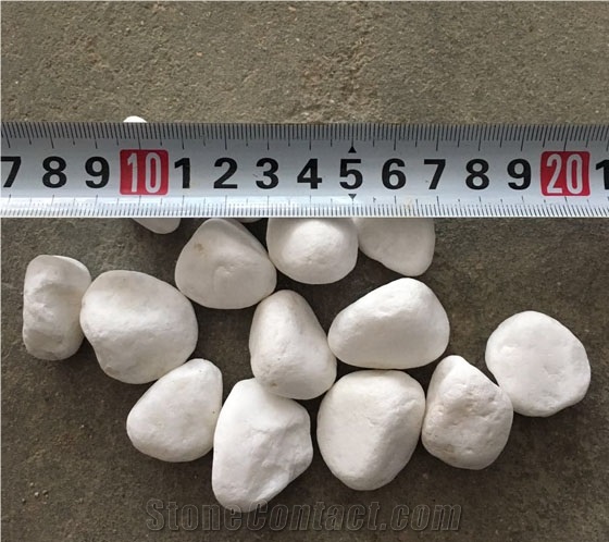 China Cheap Price Snow White Pebbles For Landscaping