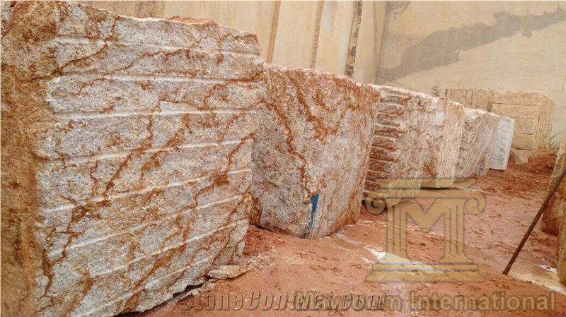 Verniz Romano,Verniz Tropical Granite Blocks,Brazil,Golden, Yellow Granite