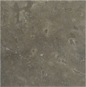 Avallon Pierre Calcaire Avallon France Grey Coral Seashell Stone Honed Tiles, Machine Cutting Slabs for Floor Paving Pattern