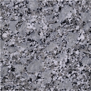 Bala White Granite Polished Slabs Tiles Wall Cladding Panel,Airport Floor Covering Pattern Villa Exterior Walling Gofar