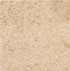 Beauvillon Cream France Beige Coral Seashell Stone Honed Tiles, Machine Cutting Slabs for Floor Paving Pattern