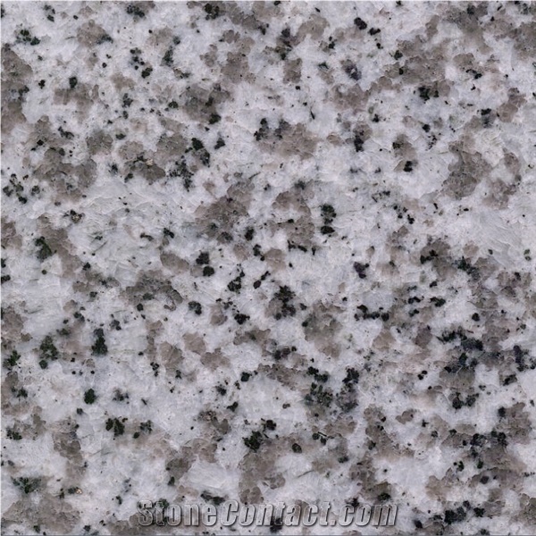 Beta White Granite G439 Polished Slabs Tiles Wall Cladding Panel,Airport Floor Covering Pattern Villa Exterior Walling