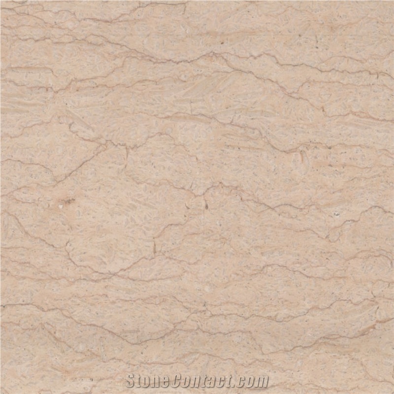 Botichinno Classic Beige Marble Polished Slabs,Machine Cutting Tiles Panel Wall Cladding,Floor Covering Pattern Interior Walling Gofar