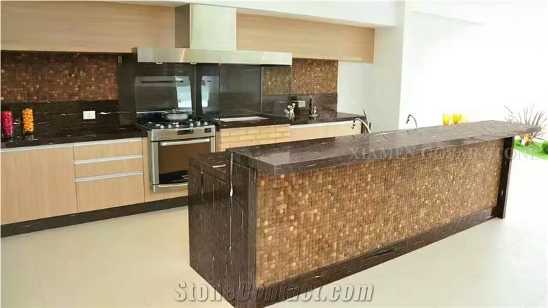 Brown Silk Limestone Polished Slabs,Seashell Coral Stone Panel Tiles for Wall Cladding,Floor Paving Hotel Stepping Countertop Design