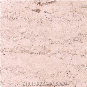 Buffon Limestone France Beige Coral Seashell Stone Honed Tiles, Machine Cutting Slabs for Floor Paving Pattern