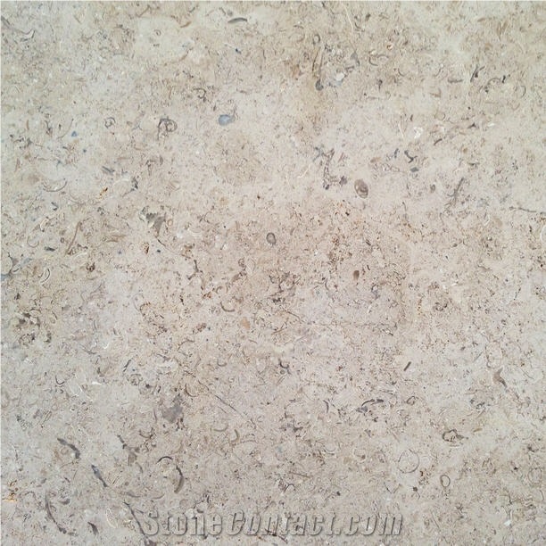 Chambolle Cream Pierre Calcaire Chambolle France Beige Coral Seashell Stone Honed Tiles, Machine Cutting Slabs for Floor Paving Pattern