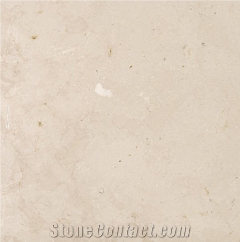 Comblanchien Clair France Beige Coral Seashell Stone Honed Tiles, Machine Cutting Slabs for Floor Paving Pattern