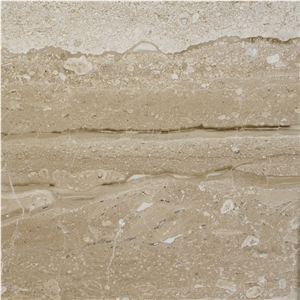 Daino Reale Perlato Marble Slabs Polished, Machine Cutting Tiles Panel Wall Cladding,Bathroom Floor Covering Pattern Interior Walling Gofar