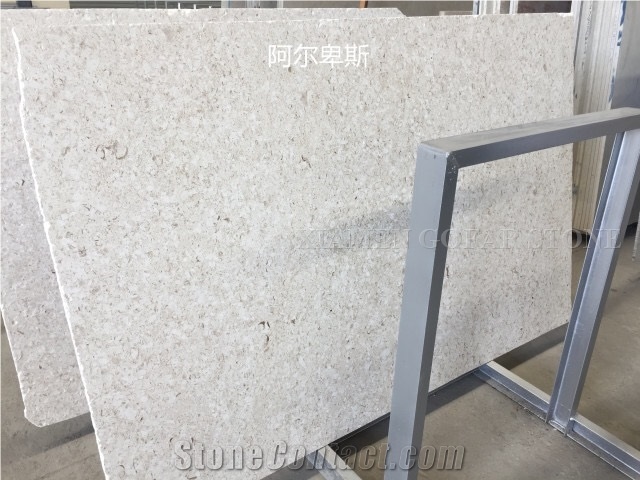 France Alps White Limestone Coral Honed Machine Cutting Tiles for Floor Covering,Lauder Bianco Walling Cladding Seashell Stone for Interior Floor