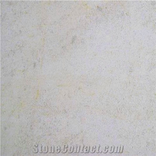 Pierre Auberoche Claire Bianco France White Coral Seashell Stone Honed Tiles, Machine Cutting Slabs for Floor Paving Pattern