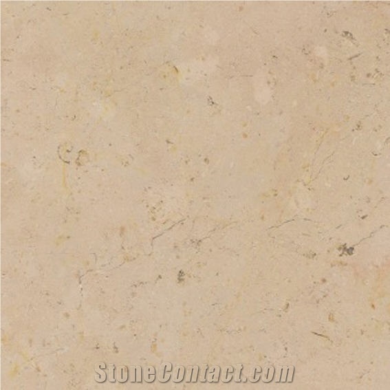 Rocheron Dore Clair France Beige Coral Seashell Stone Honed Tiles, Machine Cutting Slabs for Floor Paving Pattern