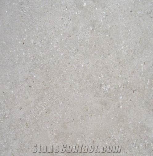 San Sebastian Gris France Grey Coral Seashell Stone Honed Tiles, Machine Cutting Slabs for Floor Paving Pattern