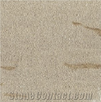 Sireuil Grand Plantier France Grey Coral Seashell Stone Honed Tiles, Machine Cutting Slabs for Floor Paving Pattern
