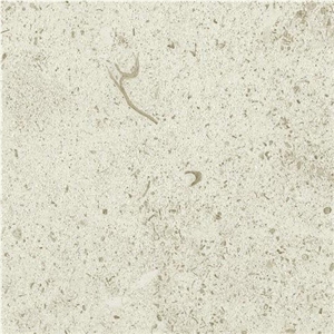 St. Nicolas Clair France White Coral Seashell Stone Honed Tiles, Machine Cutting Slabs for Floor Paving Pattern