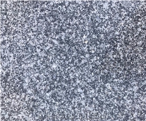 China New G654 Middle Grey Granite,Competitive Price,Directly Factory Quarry Owner with Ce,Tile and Slab,Skirting Step Floor Wall Covering