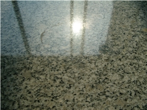 Granite&Tile Polish - Blue Shield Polishing Chemicals
