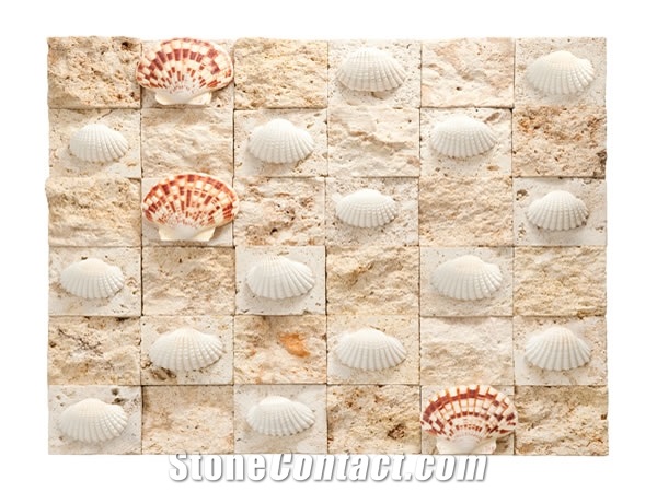 Coralina Coral Stone Split Face Mosaic with Shells
