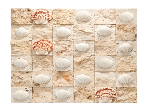Coralina Coral Stone Split Face Mosaic with Shells