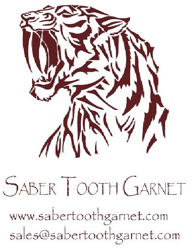 Saber Tooth Garnet Holdings Pte Ltd
