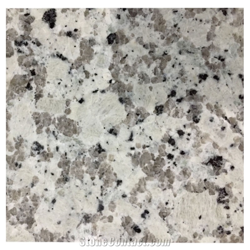 Bala White Granite Slabs, Bala Flower Granite Tiles, Chinese White Flower, Fujian Cheap Light Grey Natual Stone, China White Granite