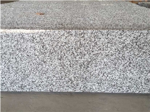 China G439 Granite Vanity Tops/Kitchen Surfaces/Granite Countertops/Bianco Sardo,Ocean White,Light Grey Vanities