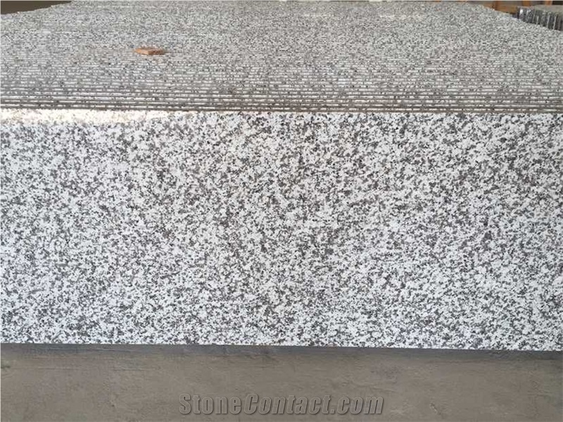G439 Granite Kitchen Countertops/Tiles,Chinese Cheapest Grey/Gray Granite Slabs/Bath Vanity/Tops, Big White Flower Granite, Popular Gray Granite Tile