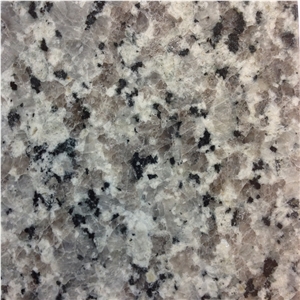 Swan White, Swan White Grey Granite Kitchen Countertop/Bar Tops/ Island Tops, Chinese Popular/Cheap White Granite, Gray Stone