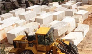Block in Stock Fatima Creme Limestone Block,Light Beige Coral Stone Block