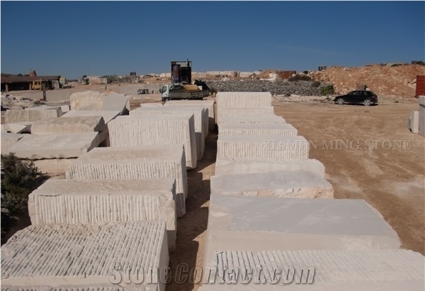 Block in Stock Fatima Creme Limestone Honed Slabs,Portugal Light Beige Coral Stone Tiles Machine Cutting Tiles for Wall Panel,Floor Covering