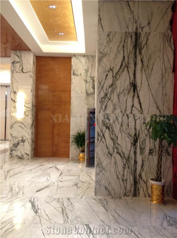 China Arabescato Marble Slabs Polished,China Arabescato Marble Tiles Machine Cutting,Clivia White Marble Green Veins for Hotel Floor Covering Pattern