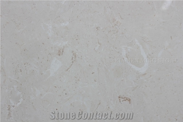 Cream Bella Seashell Marble Honed Machine Cutting Tiles for Interior Walling,Cremo Bella Marble Panel for Floor Covering Pattern