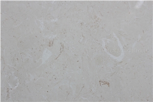 Cream Bella Seashell Marble Honed Tiles for Interior Walling,Cremo Belle Marble Panel Floor Covering Pattern