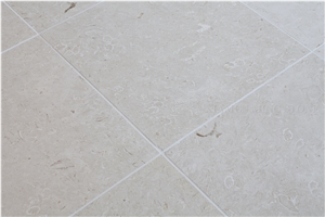 Cream Bella Seashell Marble Honed Tiles for Interior Walling,Cremo Belle Marble Panel Floor Covering Pattern